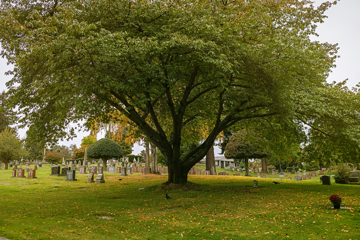 Why Visiting Cemeteries Is Good for You